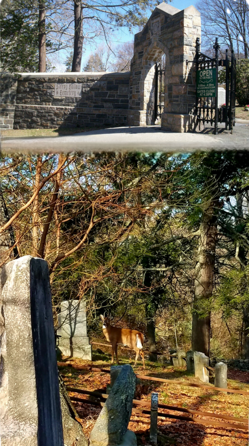 Sleepy Hollow Cemetery